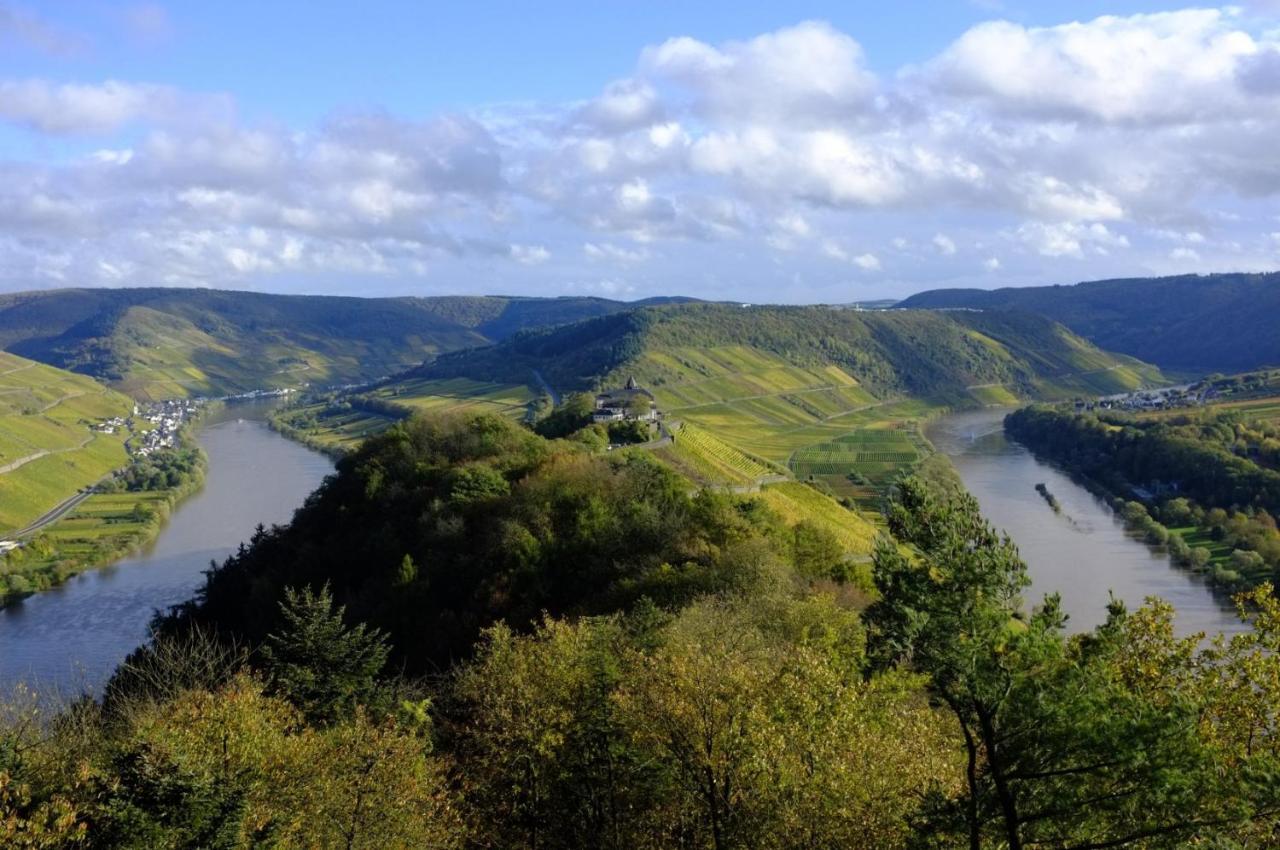 Weingut Helmut Barzen Apartment Zell an der Mosel Exterior photo